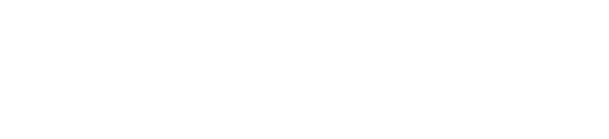 Logo — white (PNG)