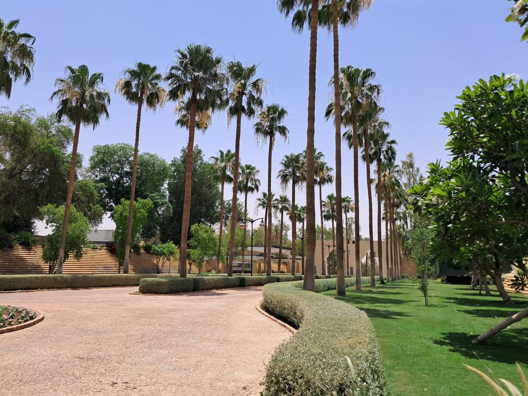 Saudi Desert Control — Transforming Soil. Saving Water. Greening Saudi ...